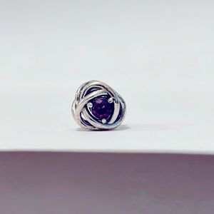 Pandora February Purple Eternity Circle Charm
